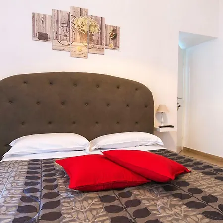 Vatican Domus 로마